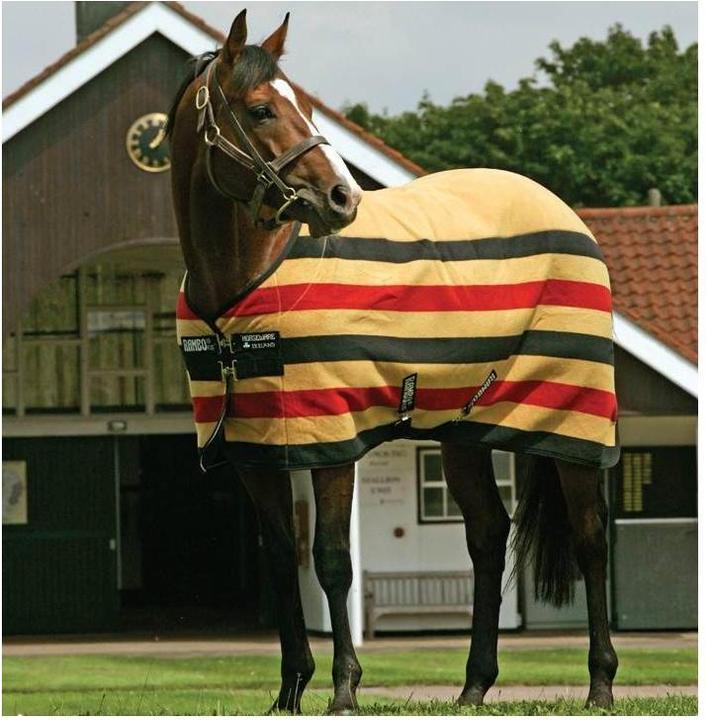 Produktbild Horseware Abschwitzdecke Rambo Deluxe Fleece