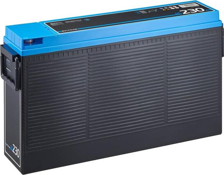 Ective Batterie AGM 230Ah 12V Deep Cycle Slim Front Terminal Batterie d'alimentation (12 V, 230 Ah)