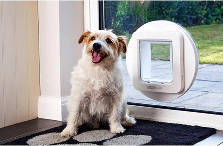 Produktbild SureFlap Katzentüre XXL (Mikrochip Katzenklappe)