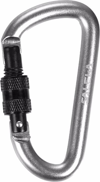 Produktbild Salewa DShape Carbiner With Screw