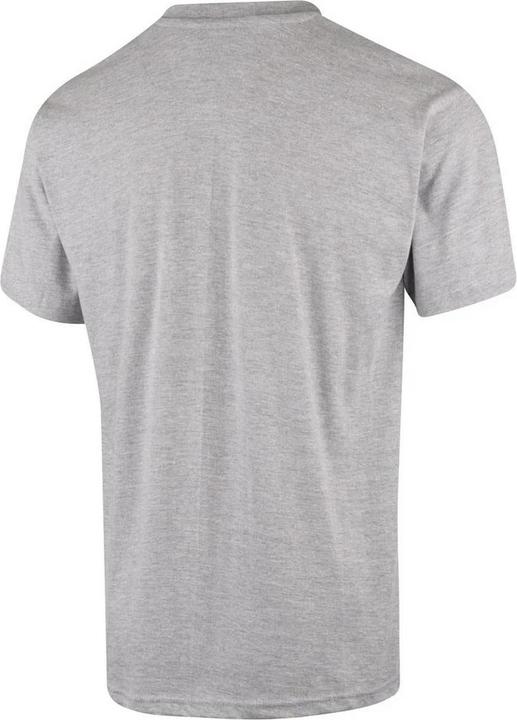 Actual product image Lee Cooper Mens Graphic Print T-Shirt (M)