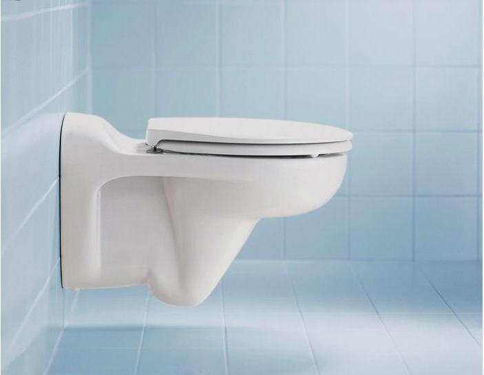 Actual product image Duravit WC seat DURAPLUS BAMBI