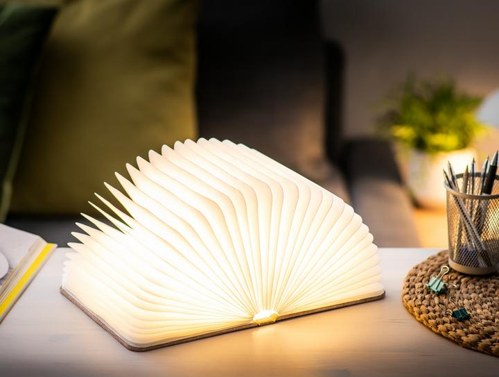 Actual product image Gingko Smart Book