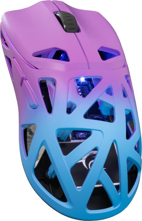 Produktbild White Shark Computer mouse GM-5019 Dagonet Wireless 24000 dpi Blue/Purple