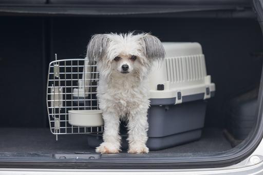 Actual product image Karlie Nomad (Cat, Dog, Lockable)