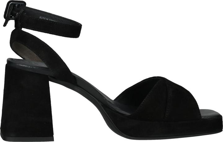 Black velvet goat 003