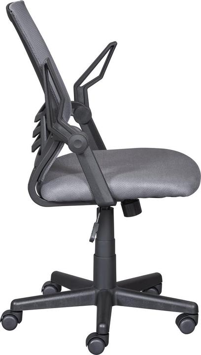 Actual product image Inter Link Jilli