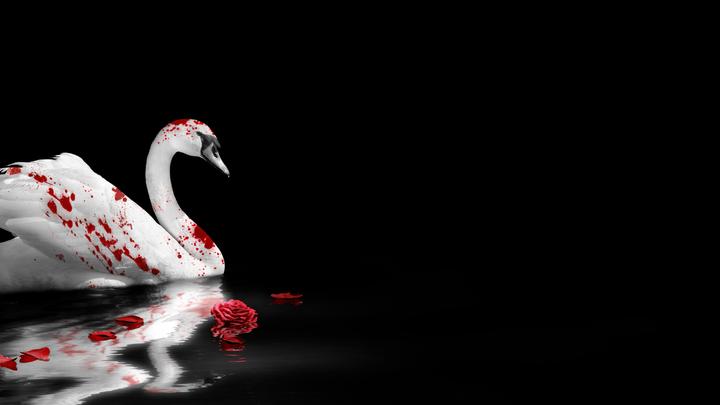 Image du produit Nacon Gaming Vampire : The Masquerade - Swansong (PS4, DE, FR)
