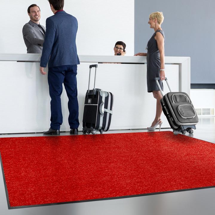 Actual product image Floordirekt Use&Wash (200 x 200 cm)