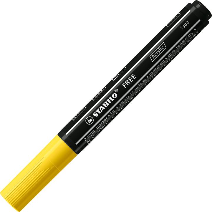 Image du produit STABILO Acrylique libre (Green, Jaune, Purple, Red, Noir, 3 mm, 5 x)