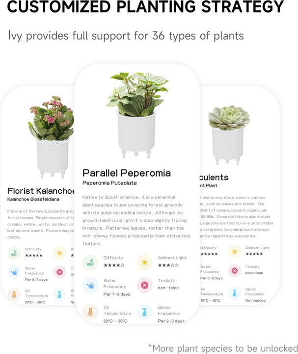 Produktbild Plantsio Ivy Smart Planter