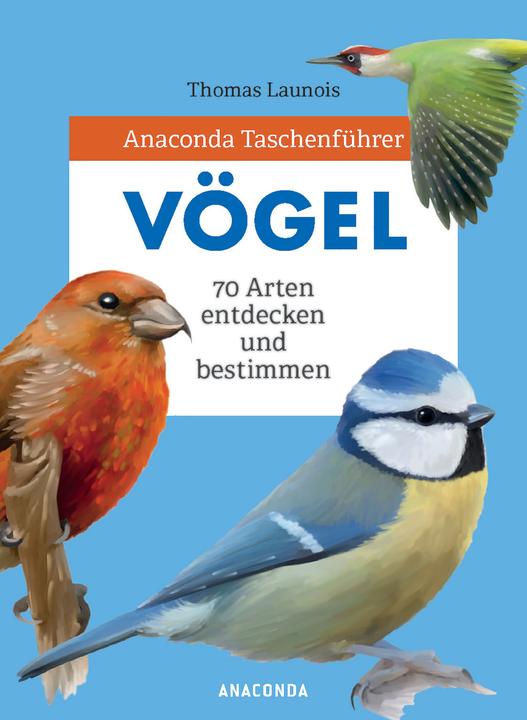 Produktbild Taschenführer Vögel (Deutsch, Thomas Launois, Svenja Tengs, 2020)