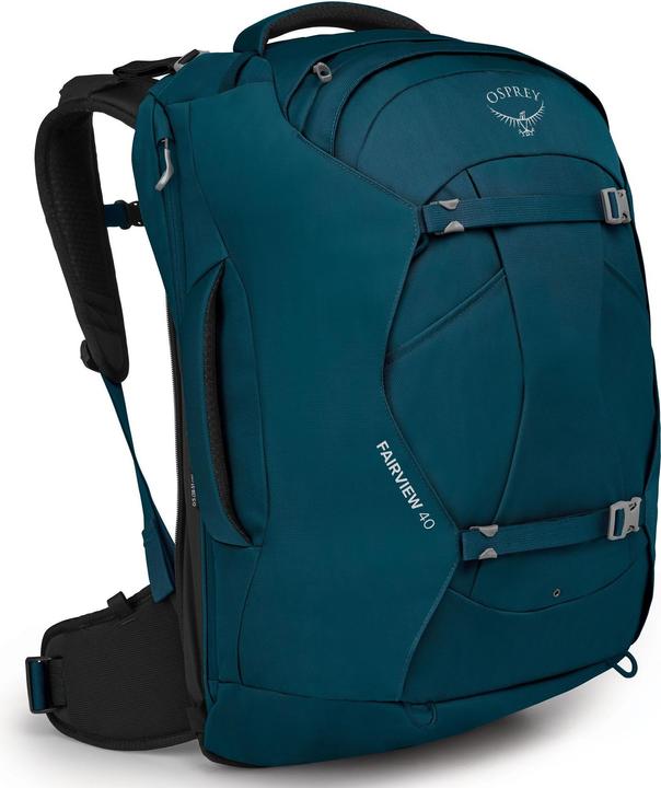 Night jungle blue