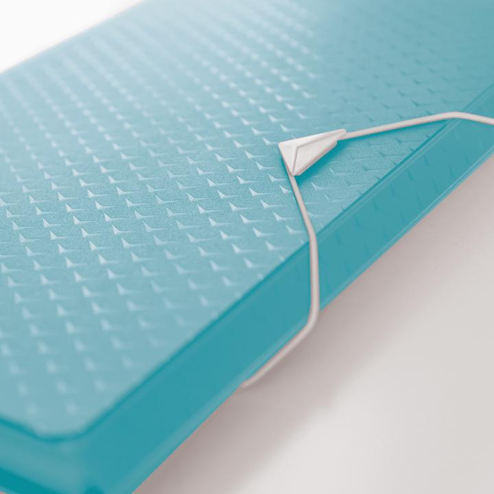 Actual product image Esselte Project folder (A4, 1 x)