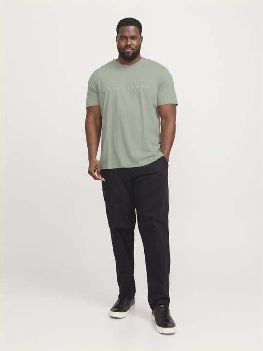 Actual product image Jack & Jones Jjestar Jj Tee Ss Noos Pls (4XL)