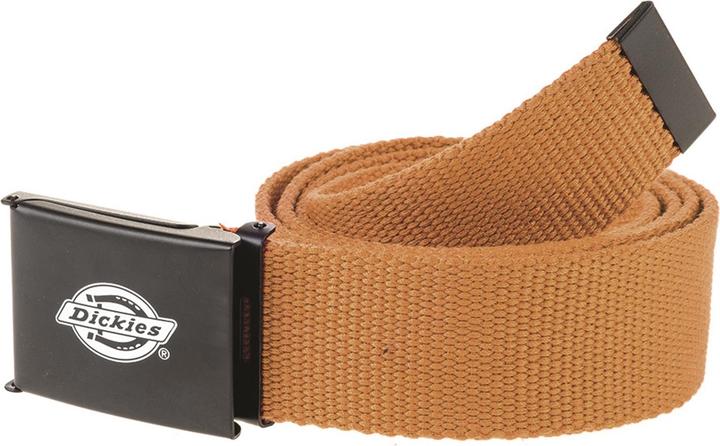 Actual product image Dickies Orcutt Web Belt Brown (120)