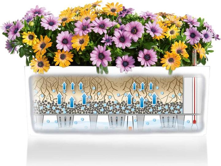 Produktbild Lechuza Balconera Color (19 cm)