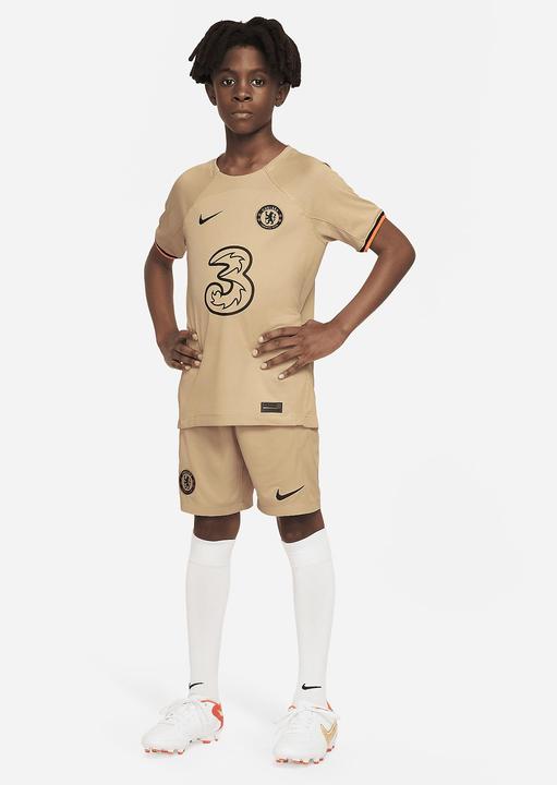 Image du produit Nike DN2736-253 (L)