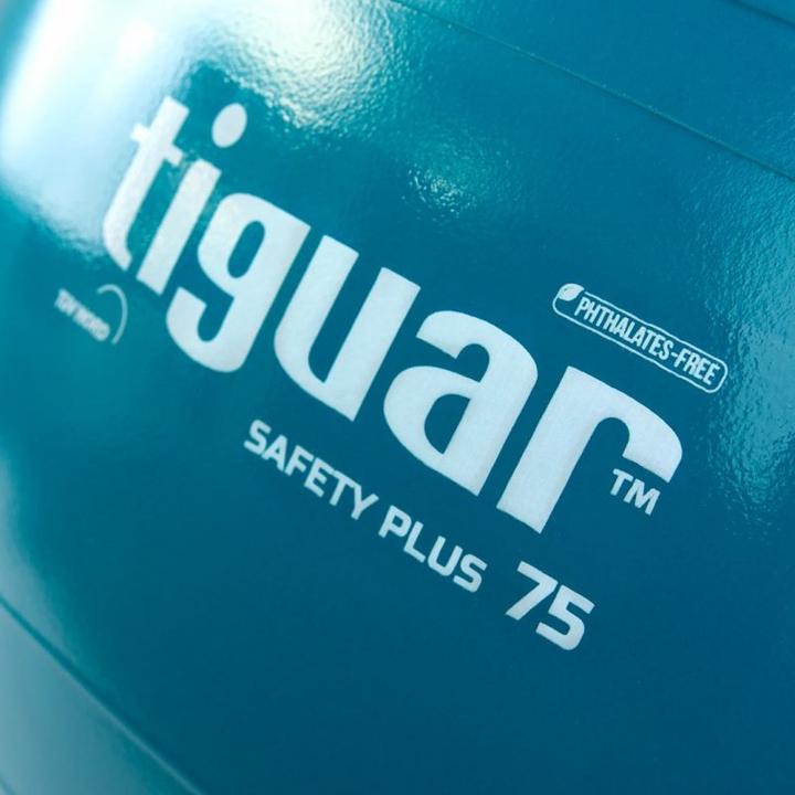 Immagine prodotto Tiguar Palla da ginnastica Safety Plus, 75 cm (75 cm)