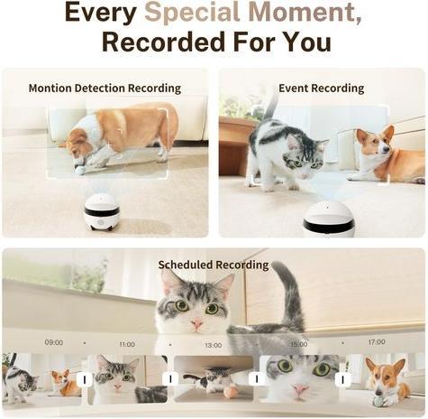 Produktbild Enabot Rola Mini Companion Robot (2304 x 1296 Pixels)