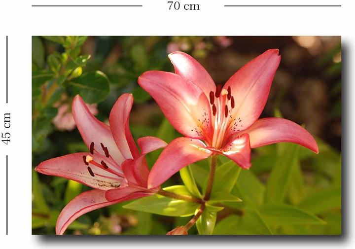 Produktbild Wallxpert Bria (45 x 70 cm)