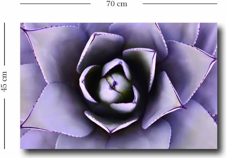 Produktbild Wallxpert Bria (45 x 70 cm)