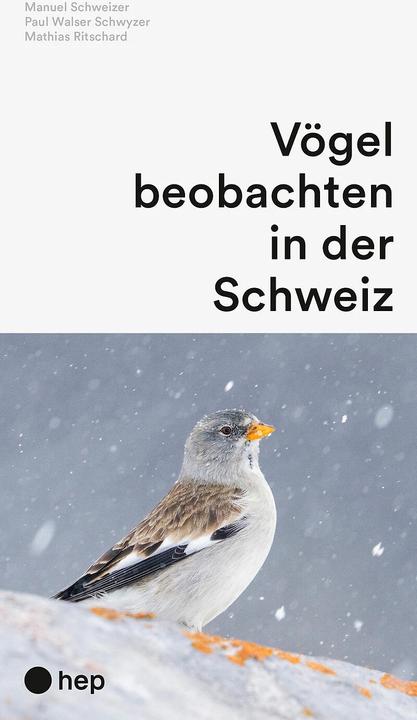 Vögel beobachten in der Schweiz (Deutsch, Paul Walser Schwyzer, Manuel Schweizer, Mathias Ritschard, 2024)