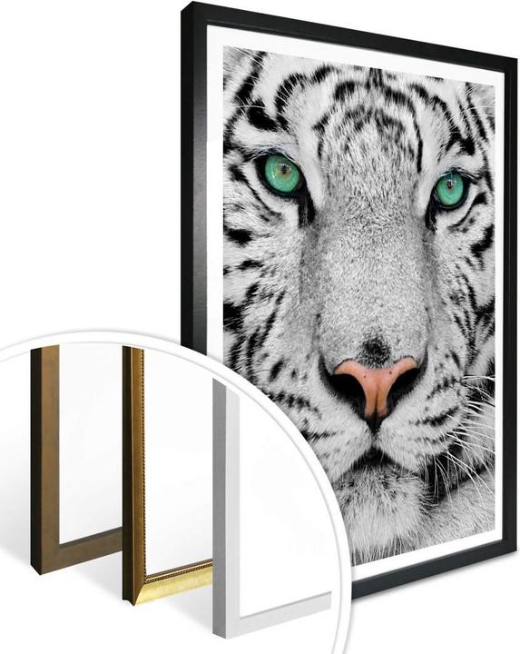 Actual product image Trenddeko Gorgeous Sumatran Tiger (30 x 40 cm)