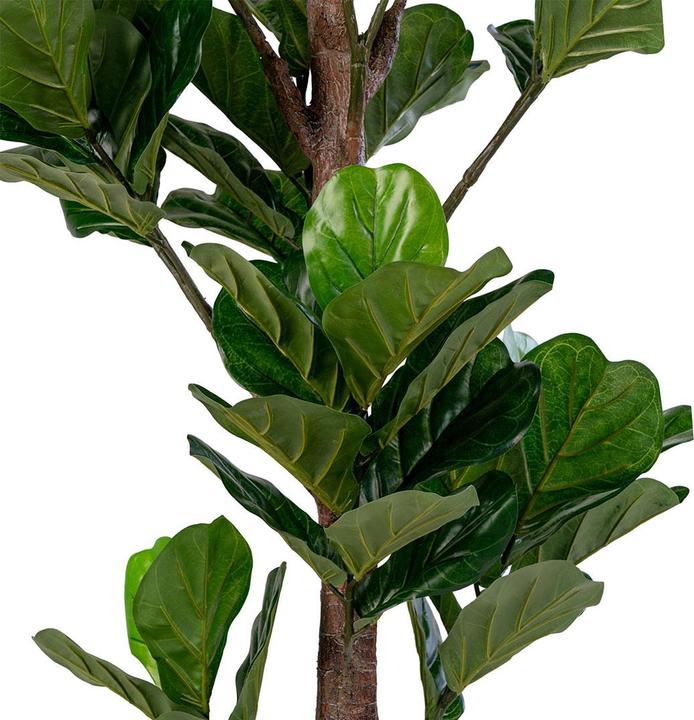 Produktbild House Nordic Fiddle (190 cm)