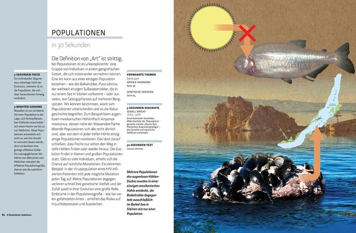 Image du produit Librero L'évolution en 30 secondes (Allemand)