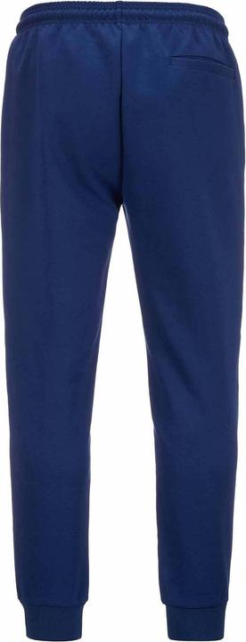 Actual product image Kappa Jogging Alpine F1 Adrofin 2024 (L)
