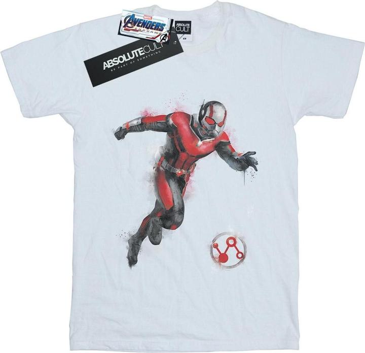 Avengers Endgame Painted AntMan TShirt (3XL)