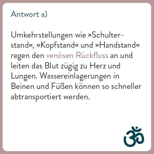 Actual product image The yoga quiz (German)