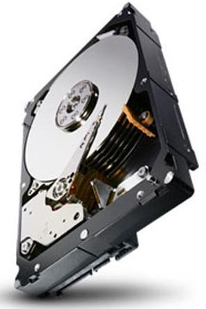 Productafbeelding Seagate 1TB 64MB 7200RPM 24x7 (1 TB, 3.5")