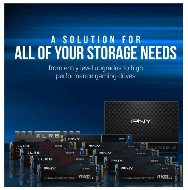 Image du produit PNY CS2230 (1000 Go, M.2 2280)