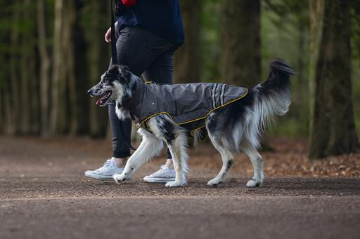 Actual product image Beeztees Dog Raincoat Seja (XL, Dog raincoat)