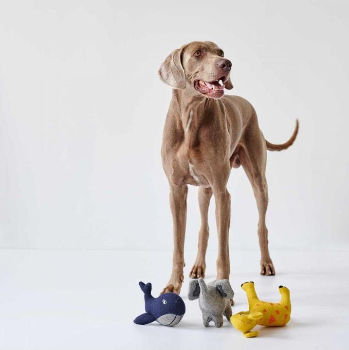 Productafbeelding Hunter Hondenspeelgoed Eiby Walvis (Pluche speelgoed hond)