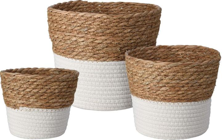 Actual product image Natura Punto Cotton and natural wicker storage baskets, set of 3 (3 x)