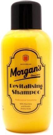 Actual product image Morgans Pomade Revitalising Shampoo (250 ml, Liquid shampoo)