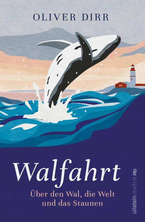 Produktbild Walfahrt (Deutsch, Oliver Dirr, 2022)