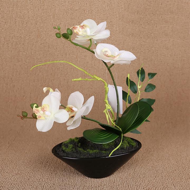Produktbild NTK-Collection Kunstblume Orchidee in Schale (28 cm)