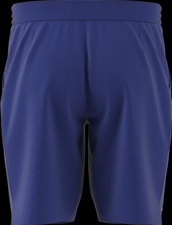 Actual product image adidas Ergo Short blue (S)