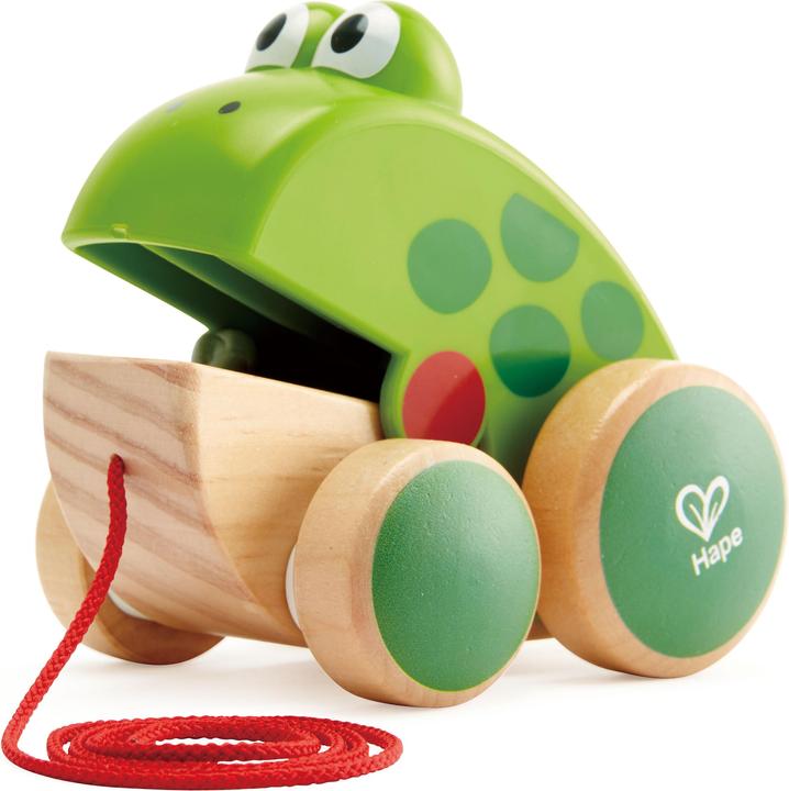 Actual product image Hape Frog