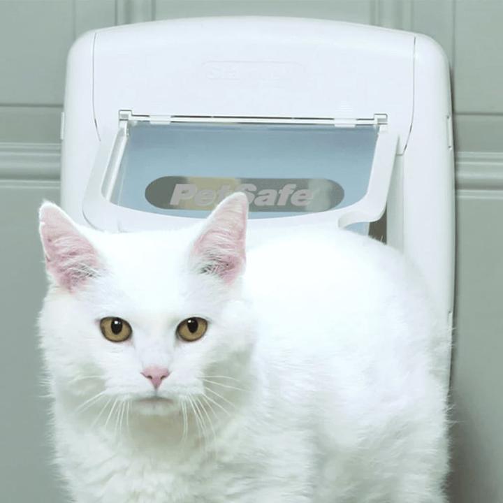 Produktbild Staywell Katzenklappe (Magnetische Katzenklappe)