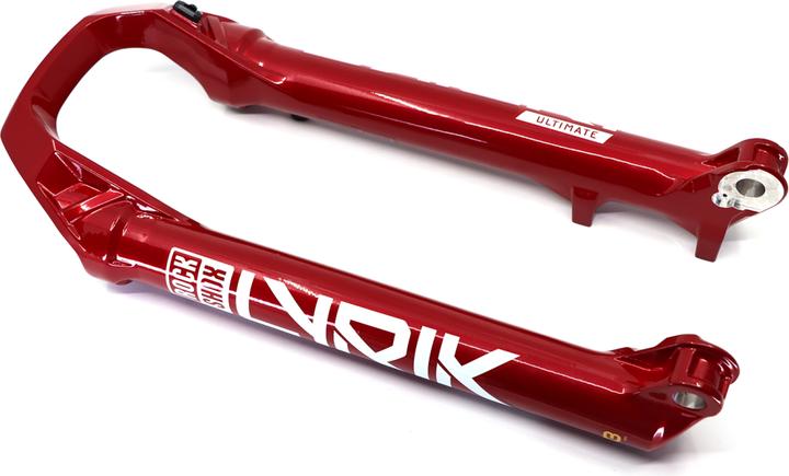 Produktbild RockShox Tauchrohreinheit für Lyrik Ultimate D1+ 29" ab Modell 2023