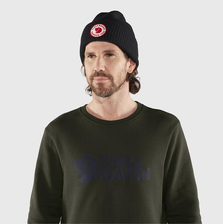 Actual product image Fjällräven logotype (XXL)