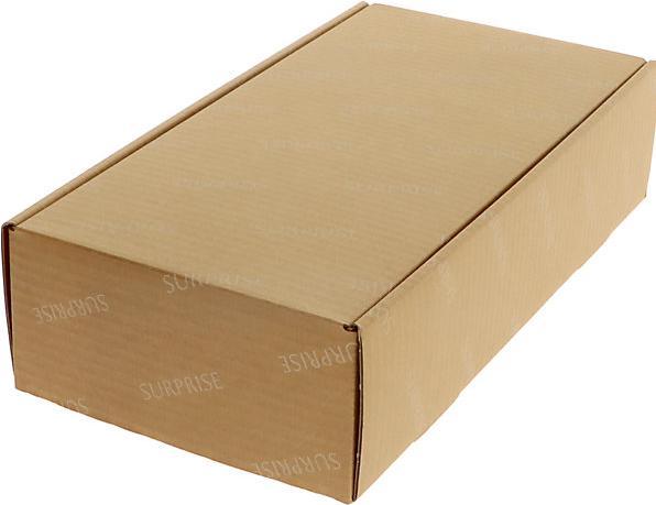 Actual product image Ratioform Christmas Surprise gift box