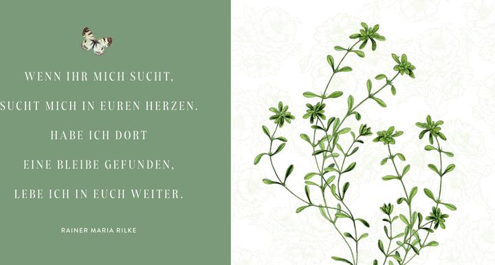 Produktbild Was bleibt, ist die Erinnerung (Deutsch, 2024)