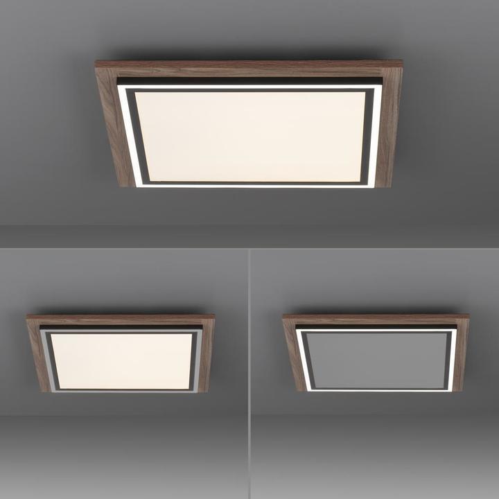 Produktbild Paul Neuhaus Palma (1250 lm)
