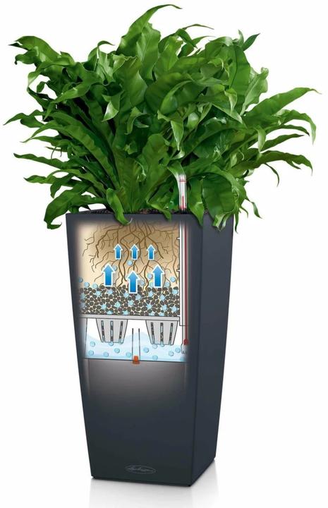 Actual product image Lechuza Cubico Color 30 (29.50 cm)